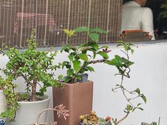 -静颐茶馆·素食(龙华店)