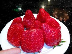 -杨柳青园艺科技博览园