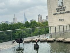 -南京圣和府邸豪华精选酒店