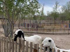 -水上乐园·欢乐世界