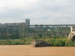 -Seesaw Coffee(朝阳大悦城店)