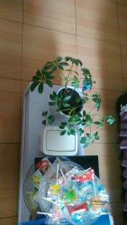 -本真坊美容美体沙龙