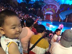 -烟台海昌鲸鲨海洋公园