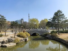 -西海子公园