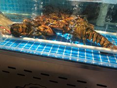 -韩记海鲜饺子旗舰店(红海新区店)