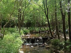 -玉渡山自然风景区