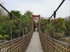 -上海吴淞炮台湾国家湿地公园