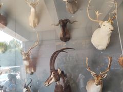 -陕西自然博物馆