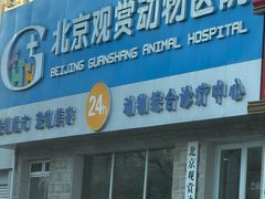 -北京观赏动物医院·24小时大型综合·猫专科·异宠专科