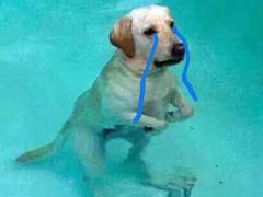 -大玩家超乐场(万达广场苏州吴中店)