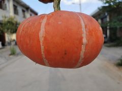 -洨河生态公园