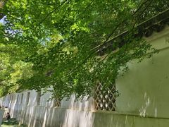-山塘街