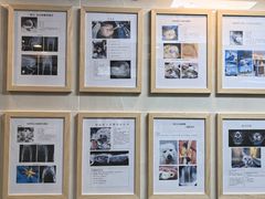 -半岛宠物医院24小时·内窥镜·牙科·碎石中心(府城大道店)