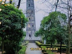 -上海佘山国家森林公园天马山园