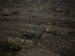 -夏威夷火山国家公园