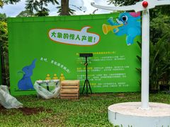 -野象谷景区