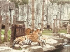 -上海野生动物园