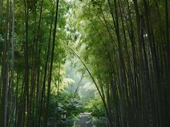 -西湖文化广场