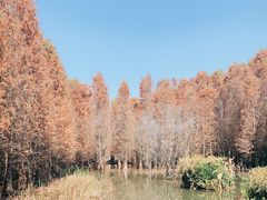 -捞渔河湿地公园