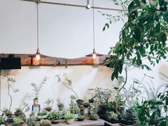 -植觉