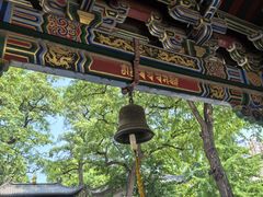 -护国法轮寺
