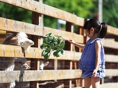 -圣露庄园·露营·烤肉·亲子