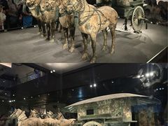 -秦始皇帝陵博物院-丽山园