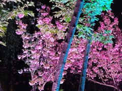 -西北湖绿化广场