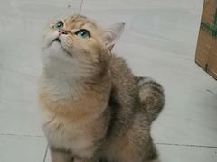 -牧马人宠物医院