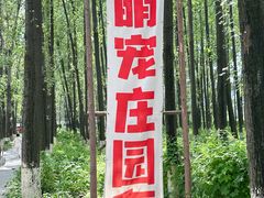 -林间山庄