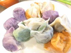 五彩饺子-宝源饺子(麦子店街店)