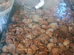 -天盛海鲜烧烤大排档·本地小海鲜·牟平腿穗子(幸福店)