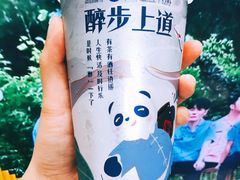 -茶百道(昌里路店)