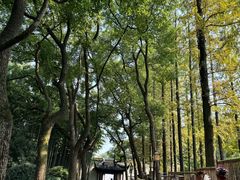 -上海醉白池公园