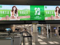 -青岛胶东国际机场