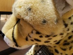 -首都电影院(金融街店 杜比全景声)