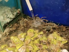 -遇上西雅图多融合海鲜自助餐厅(中房金谊广场店)