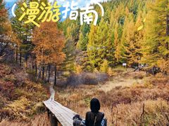 -苏木山森林公园