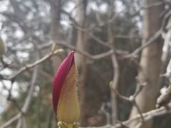 -洛阳市隋唐城遗址植物园