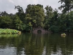 -桂湖森林公园