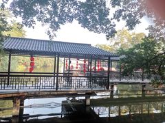 -荔湾湖公园