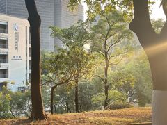 -广东药科大学(广州校区大学城校园)