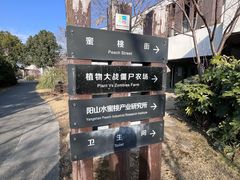 -田园东方蜜桃村的田野营地