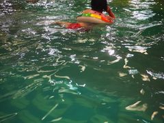 -南宫温泉水世界