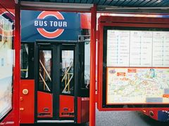 -BUS TOUR观光巴士