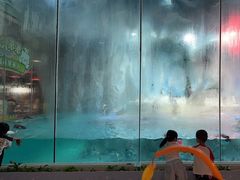 -帝企鹅自助餐厅•儿童岛•真企鹅(长隆企鹅酒店)