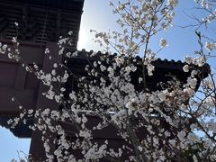 -云龙山