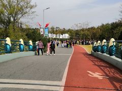 -上海长兴岛郊野公园