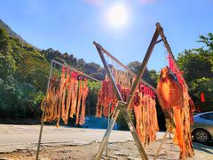 -广州市石门国家森林公园