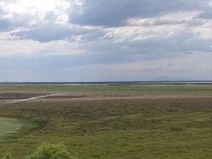 -鄱阳湖国家湿地公园